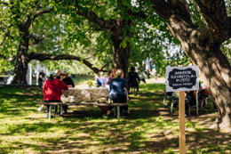 Runofestivaalin alueen laajentaminen Annikin korttelin viereiseen puistoon oli menestys! Kuva: Eino Ansio.